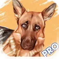 Dog Breed Identifier PRO