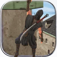 Ninja Samurai Assassin Hero II