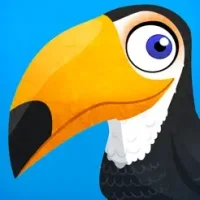 Birds: Puzzles &amp; Games Kids 2+