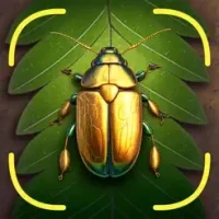 Bug Identifier App - Insect ID